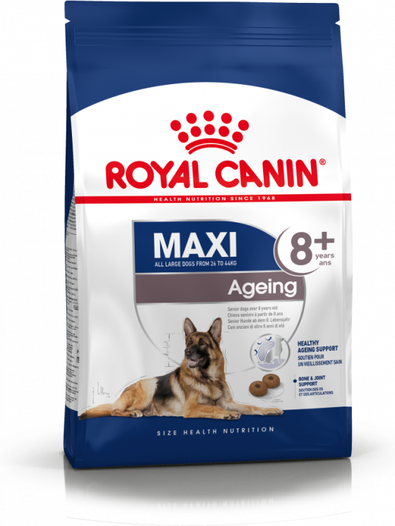 Royal Canin SHN Maxi Ageing(8+) 3kg