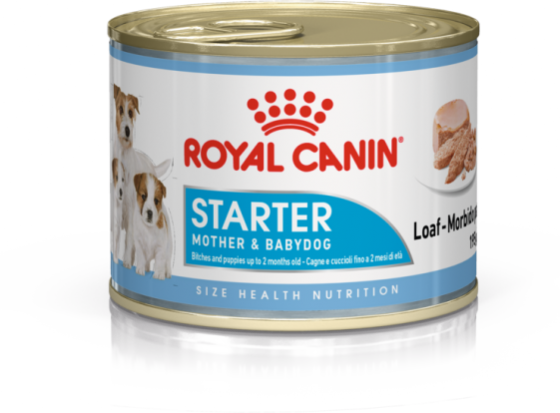 Royal Canin SHN Cans Starter Mouse Dog 195gr