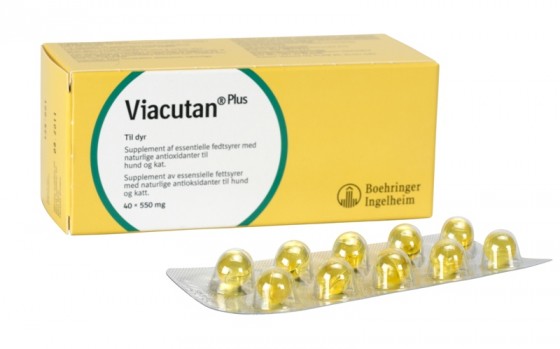 Viacutan Plus Συμπλήρωμα Διατροφής Σκύλου & Γάτας Για Το Δέρμα 40tabs