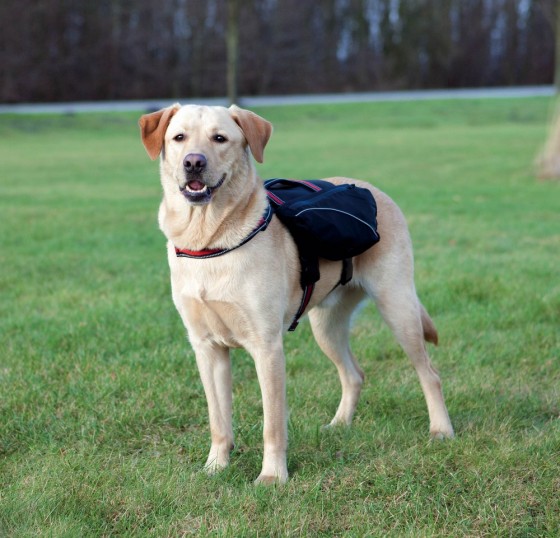 Trixie Backpack for Dogs