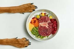 Ωμή Τροφή Σκύλου