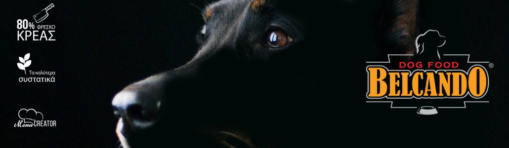 Belcando-MasterCraft