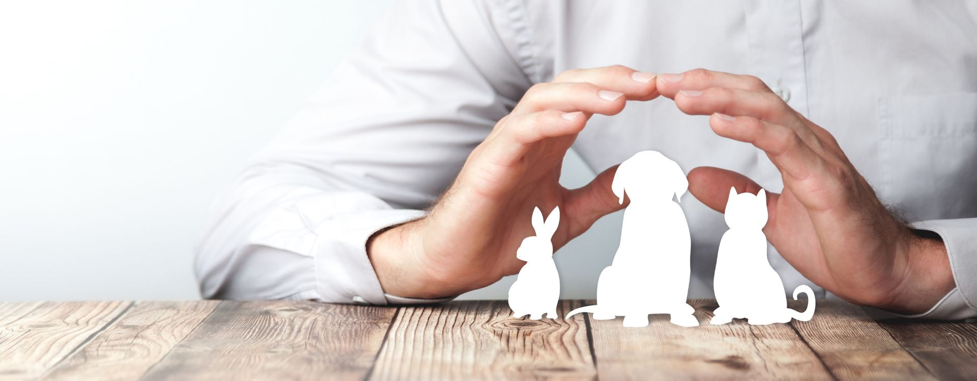 Ποιο είναι το νέο νομικό πλαίσιο για την προστασία των ζώων;