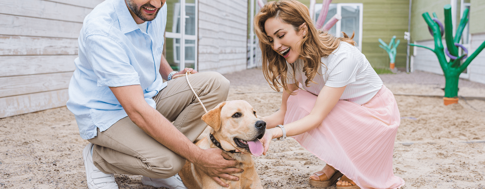 Υιοθεσία σκύλου