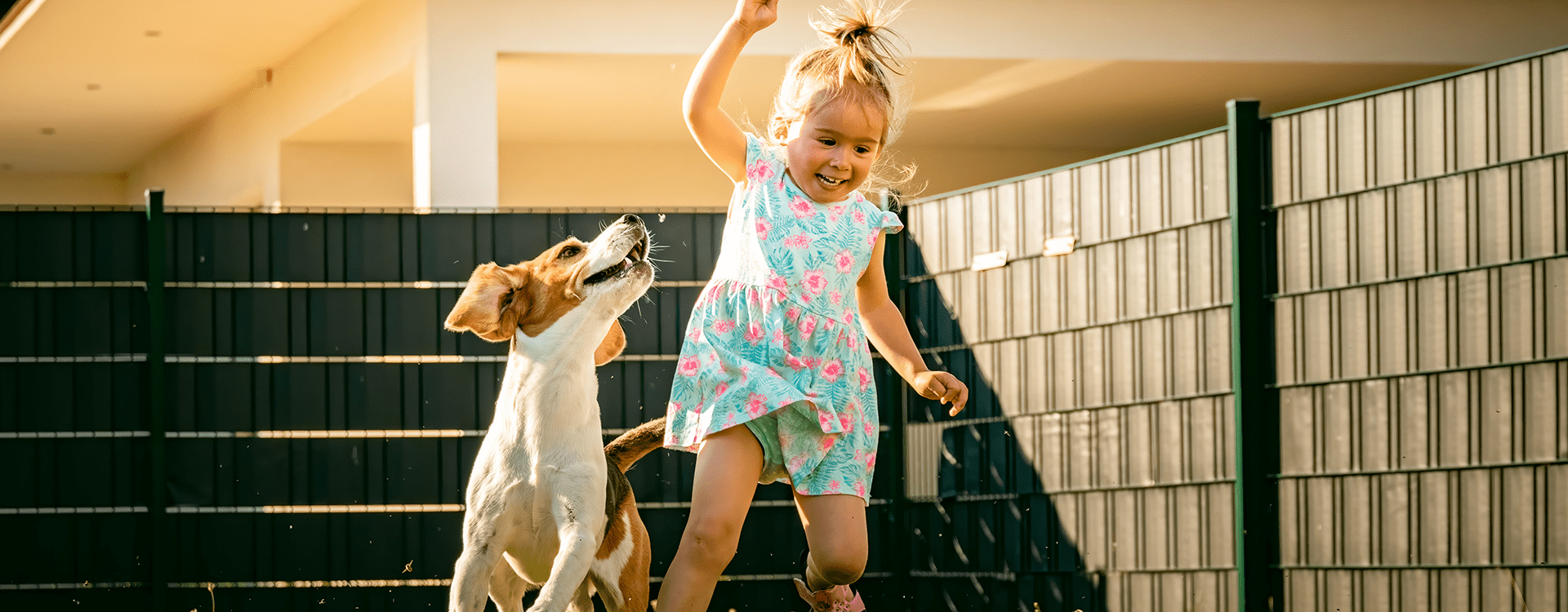 Σκύλος και παιδί