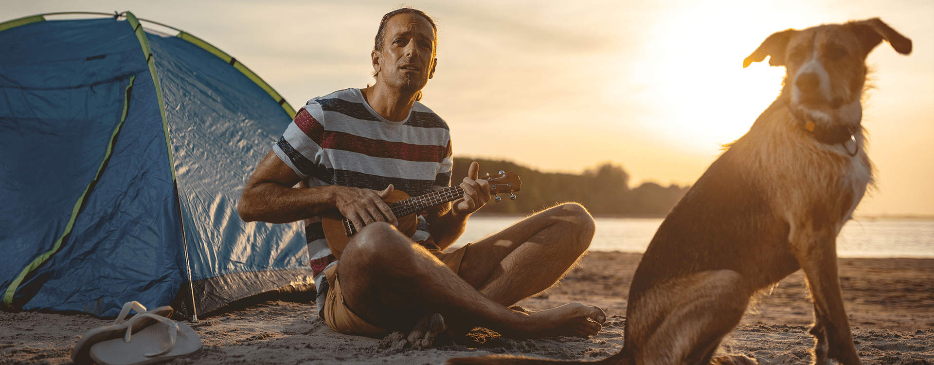 Σκύλος και μουσική