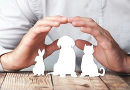 Ποιο είναι το νέο νομικό πλαίσιο για την προστασία των ζώων;