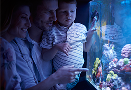 Ενυδρείο στο σπίτι