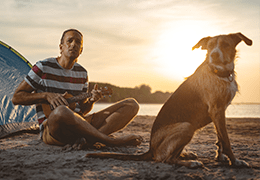 Σκύλος και μουσική