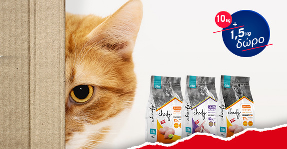 chedy cat food offer